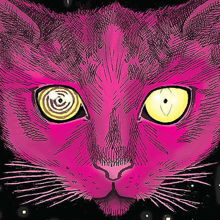 COSMIC KITTEN | Twitter, Instagram, Facebook | Linktree