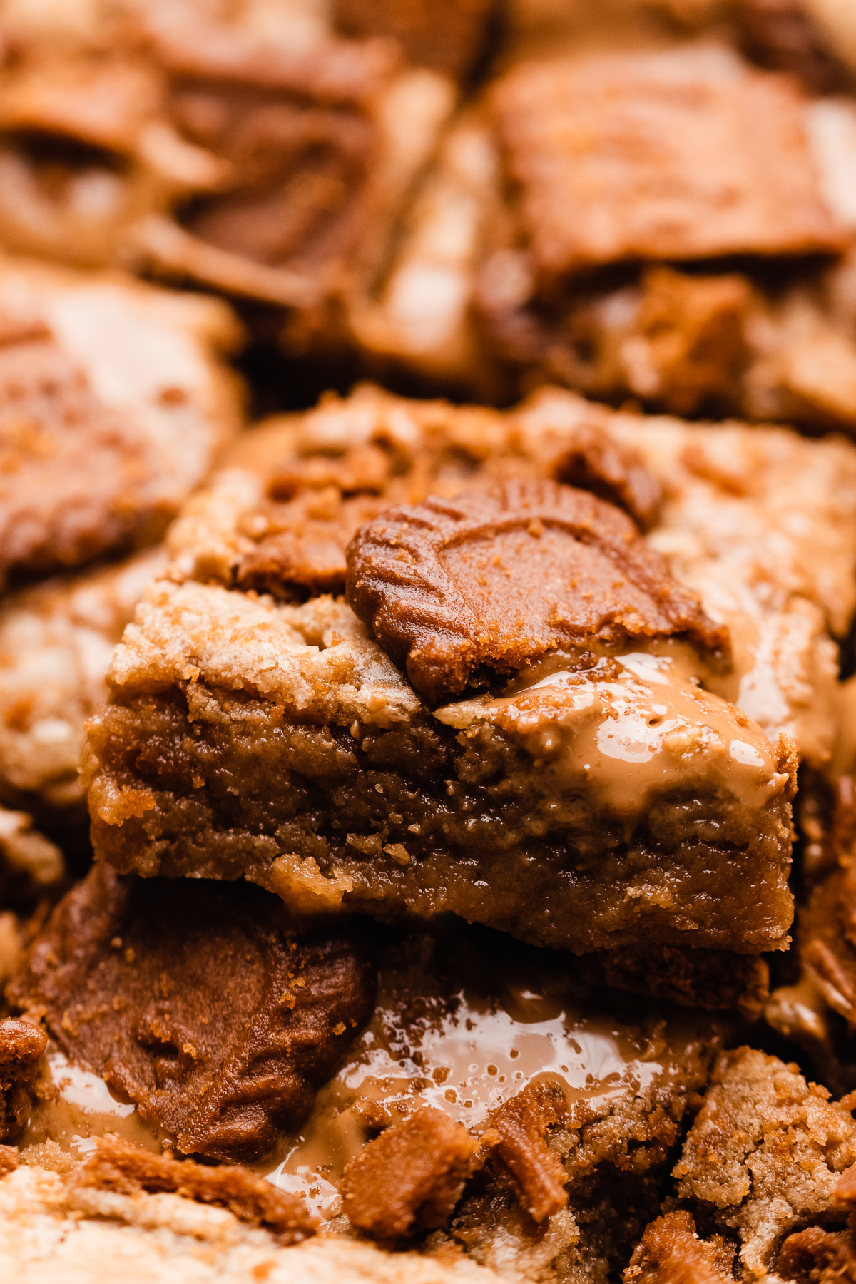  bluebowlrecipes Linktree