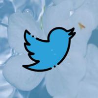 wedgieanonymous - Find @wedgieanonymous Onlyfans - Linktree