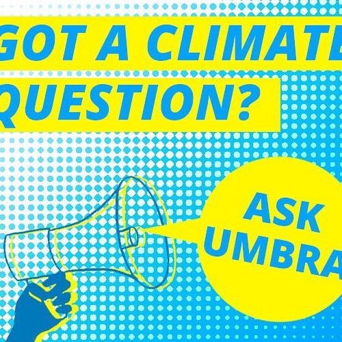 Ask Umbra