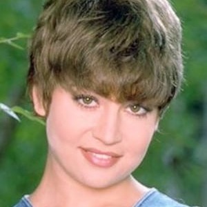 Vanessa Chase - The Links - Find Vanessa Chase - The Links Onlyfans