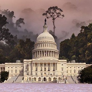 Welcome to the Eocene, where ice sheets turn into swamps