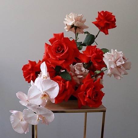 Amanda Grace | Linktree