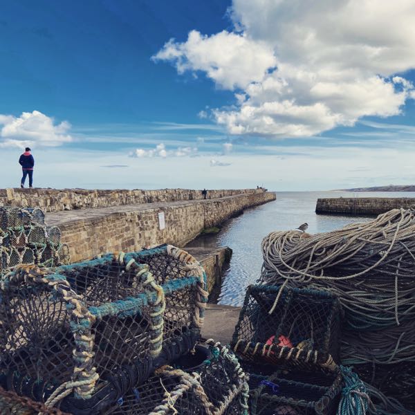 Fife.Coast Travel, Descover, Explore Linktree