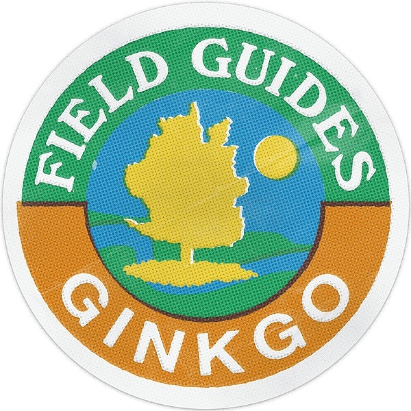 FIELD GUIDES Listen on YouTube, Spotify Linktree
