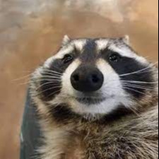 trashybagqueen - Find @trashybagqueen Onlyfans - Linktree