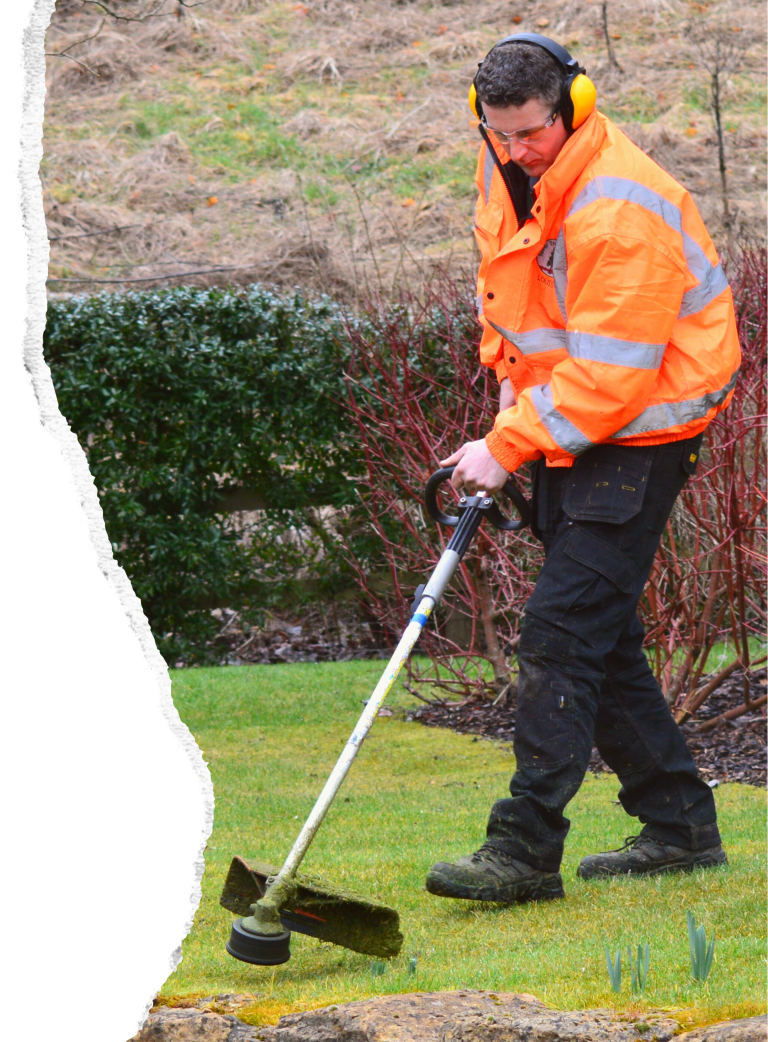 Silver Tree Services Ltd Linktree