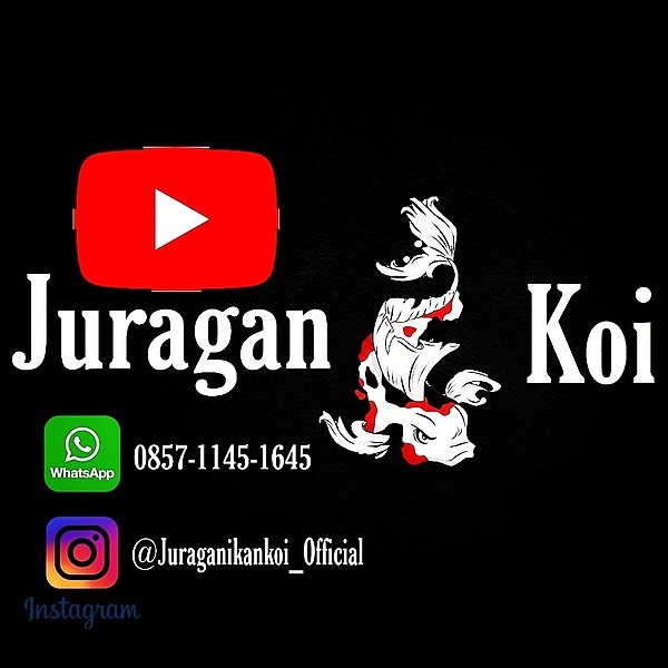 Juragan Net: Fenomena Bisnis Online dan Tantangannya di Era Digital