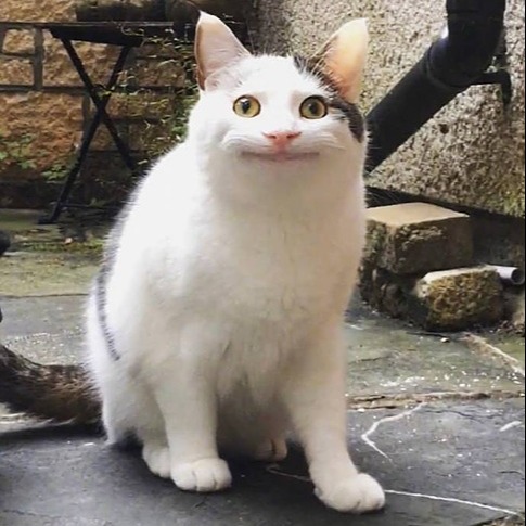 [資訊] Cambly/Kids 年45折 季58折+1週+130分