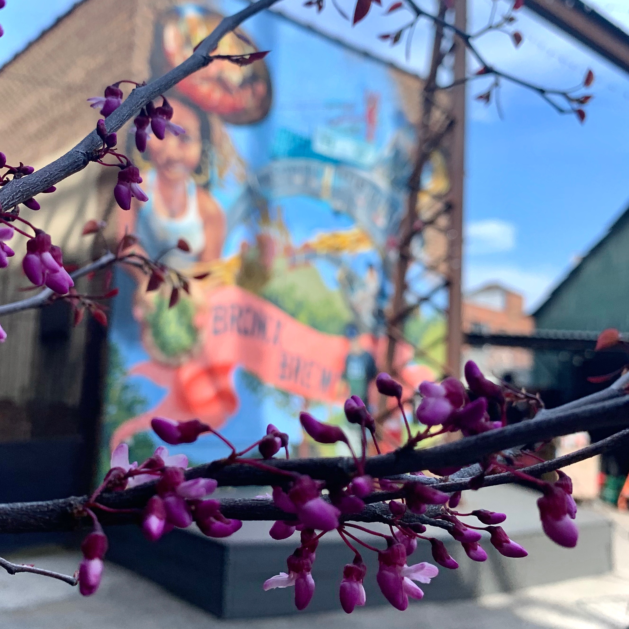 Backyard: 3-7:30 Mon-Thurs, 3-9:30 Fri, 12-9:30 Sat, 12-7:30 Sun