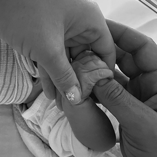 Welcome Daisy Dove Bloom