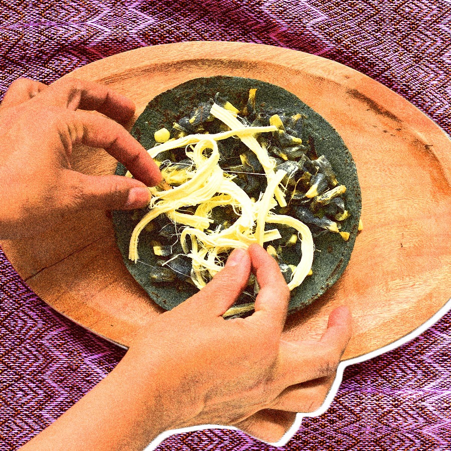 When it comes to sustainability, the path forward might mean looking back.