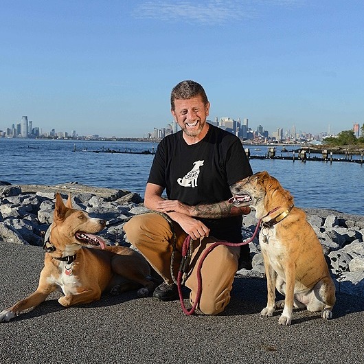 CanineCohen Linktree