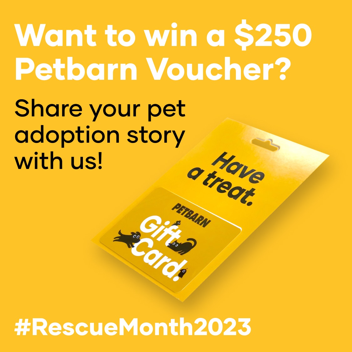 petbarn Facebook Linktree