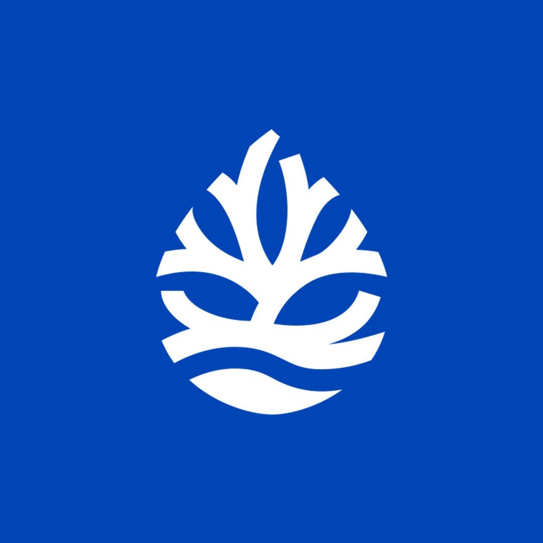 OCEAN DROP | Linktree