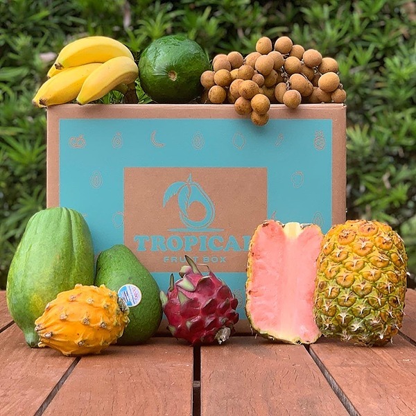 Tropical Fruit Box Linktree