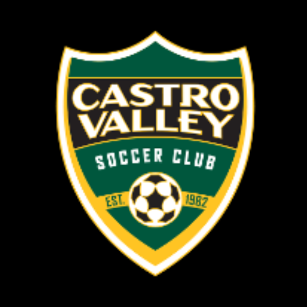 Castro Valley Soccer Club Instagram, Facebook Linktree