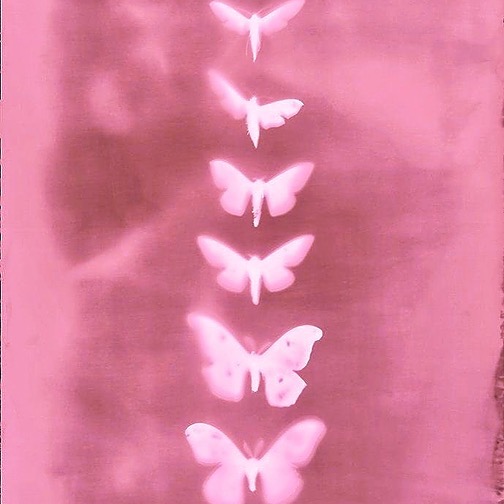 loveliexo - Find @loveliexo Onlyfans - Linktree