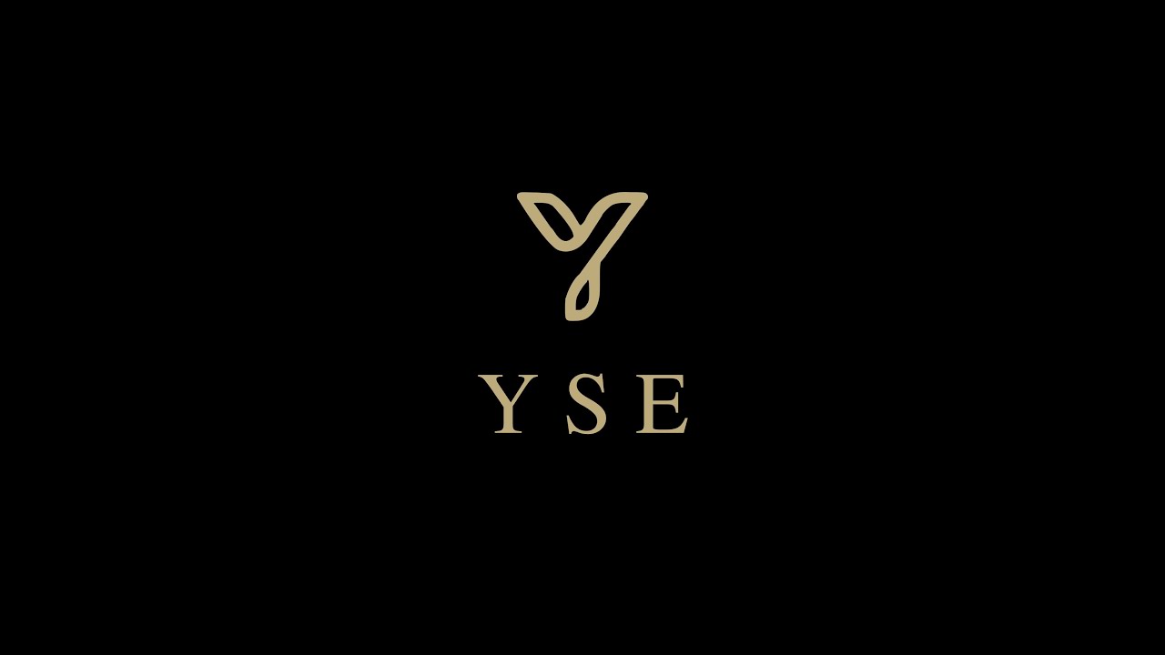WHAT DOES YSE MEAN visual data 2