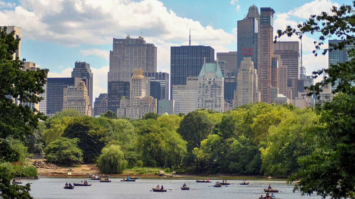 New York Bucket List Facebook, TikTok Linktree