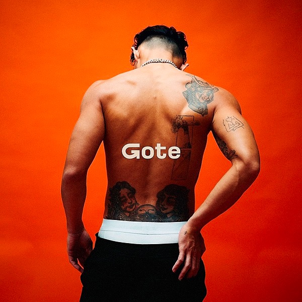 hanpin TikTok Linktree