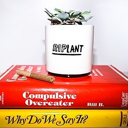 Interview w/ Nice Paper