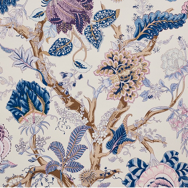 Schumacher Florida Linktree