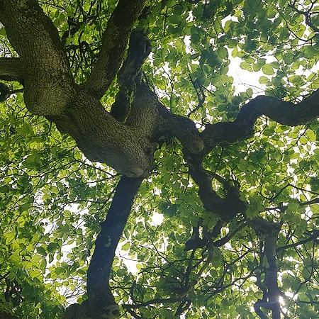 @em.louise | Linktree