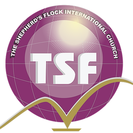 academy tf
