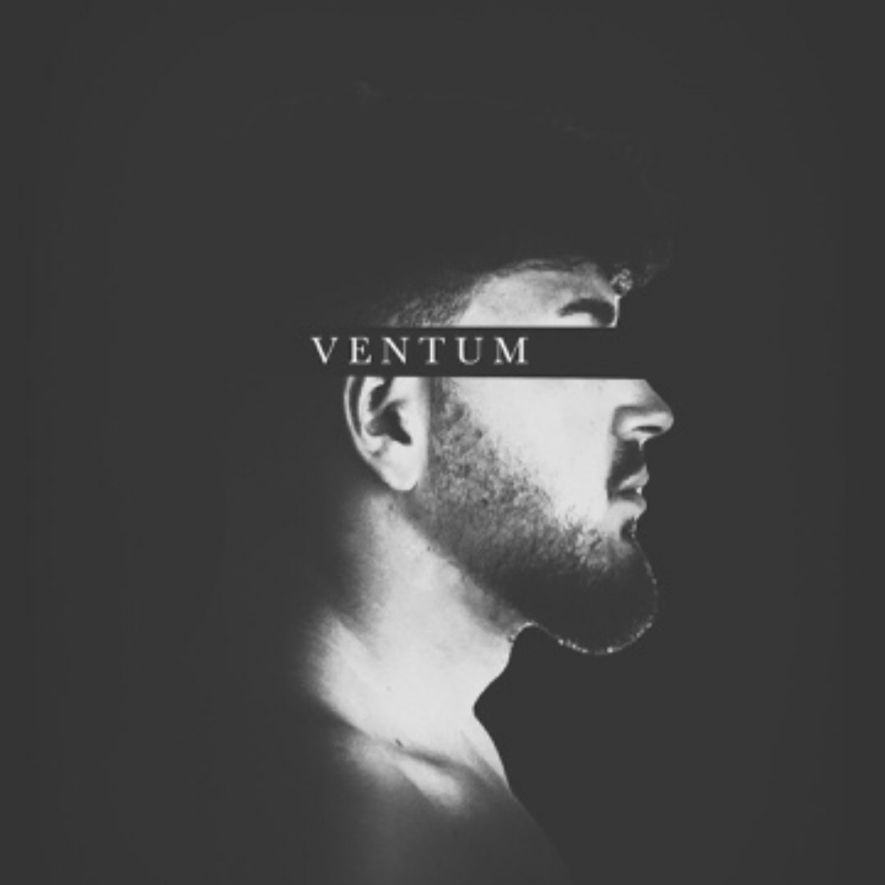 V E N T U M | Linktree