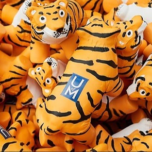 Tigers Help Tigers | Linktree