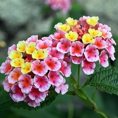 @happyall Profile Image | Linktree