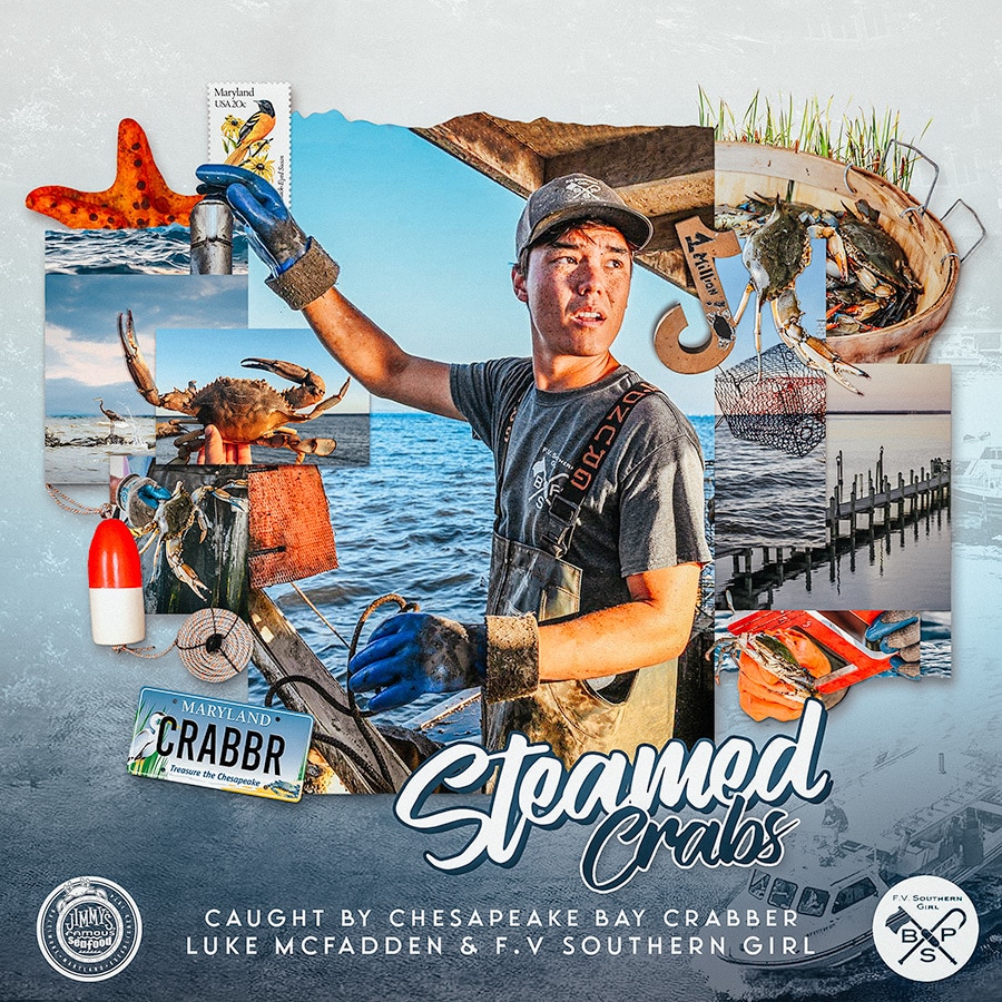 Luke Mcfadden Instagram, Facebook, TikTok Linktree