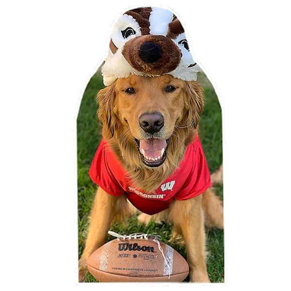 Buy your own Bucky Boards