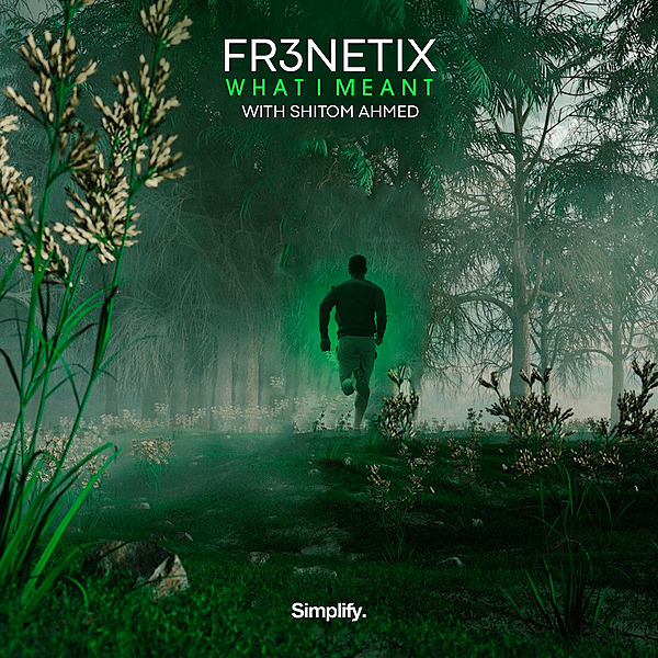 Fr3netix - What I Meant (feat. Shitom Ahmed)