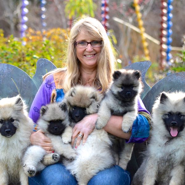 A few of my favorite things Instagram, Facebook Linktree