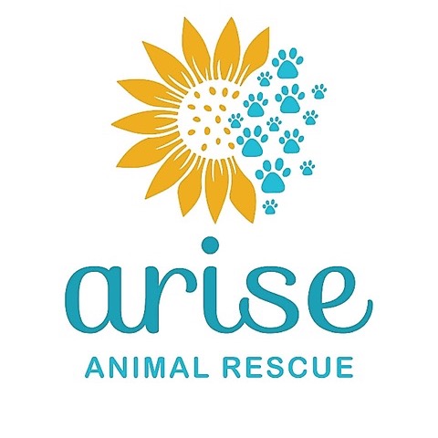 Arise Animal Rescue | Instagram, Facebook | Linktree