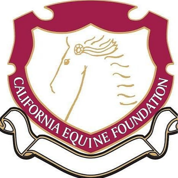 California Equine Foundation Instagram, Facebook Linktree